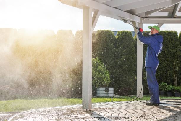 Best Gutter Cleaning  in Brownfield, TX